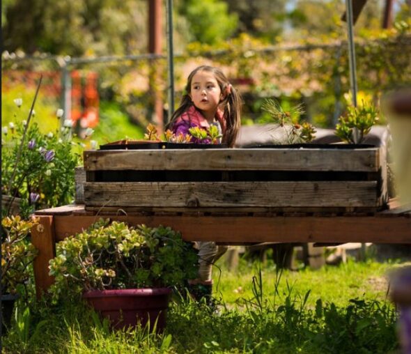 Young girl in a planter box